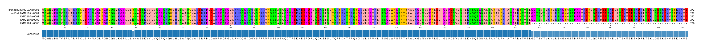 Multiple Alignments (by translate haplotype frequency)