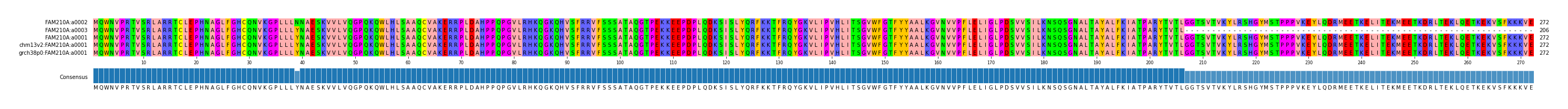 Multiple Alignments (by translate haplotype similarity)