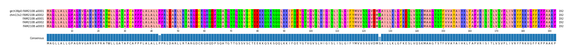 Multiple Alignments (by translate haplotype frequency)