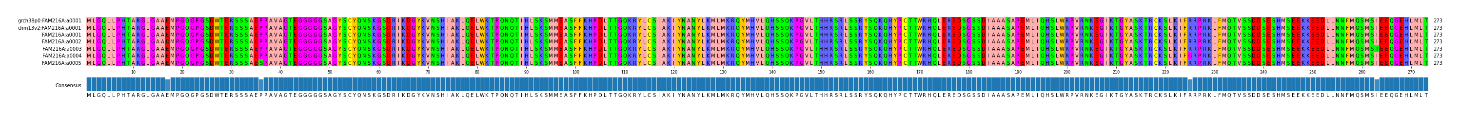Multiple Alignments (by translate haplotype frequency)