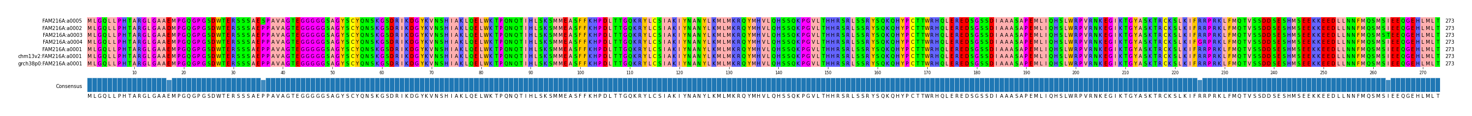 Multiple Alignments (by translate haplotype similarity)