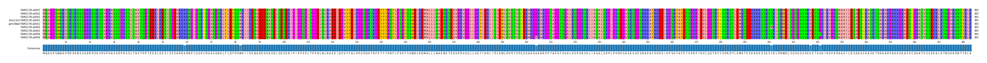 Multiple Alignments (by translate haplotype similarity)