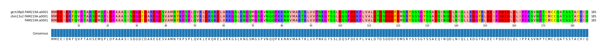 Multiple Alignments (by translate haplotype similarity)