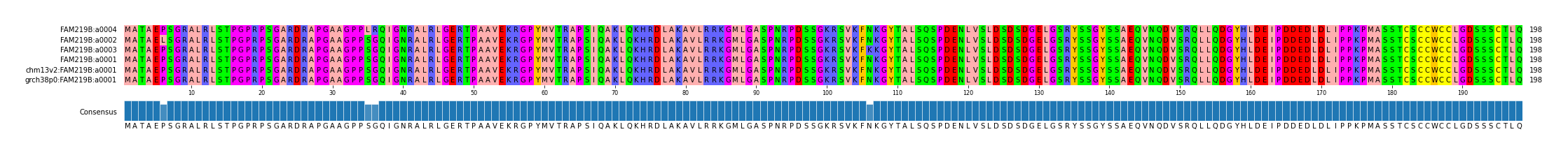 Multiple Alignments (by translate haplotype similarity)