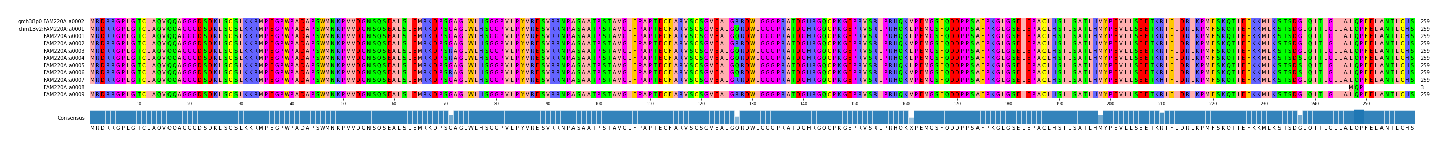 Multiple Alignments (by translate haplotype frequency)