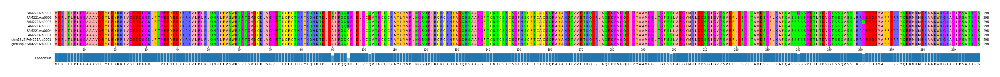 Multiple Alignments (by translate haplotype similarity)