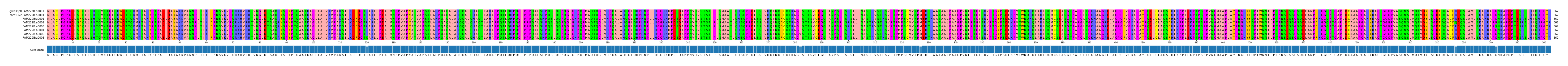 Multiple Alignments (by translate haplotype frequency)