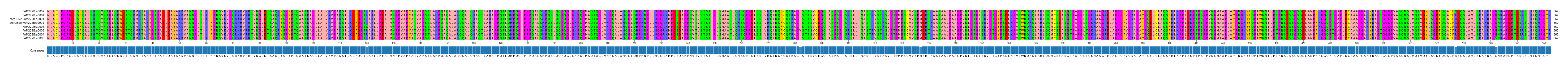 Multiple Alignments (by translate haplotype similarity)