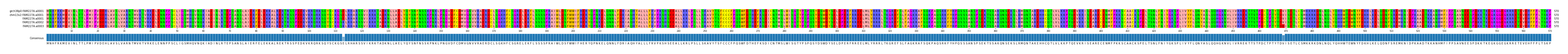 Multiple Alignments (by translate haplotype similarity)
