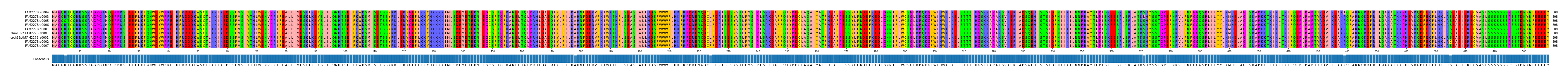 Multiple Alignments (by translate haplotype similarity)