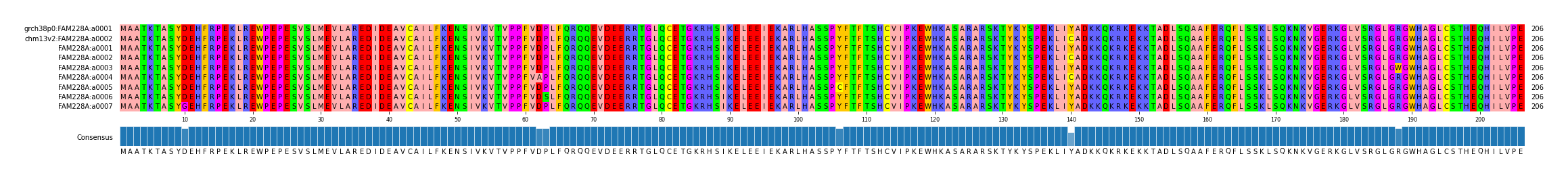 Multiple Alignments (by translate haplotype frequency)
