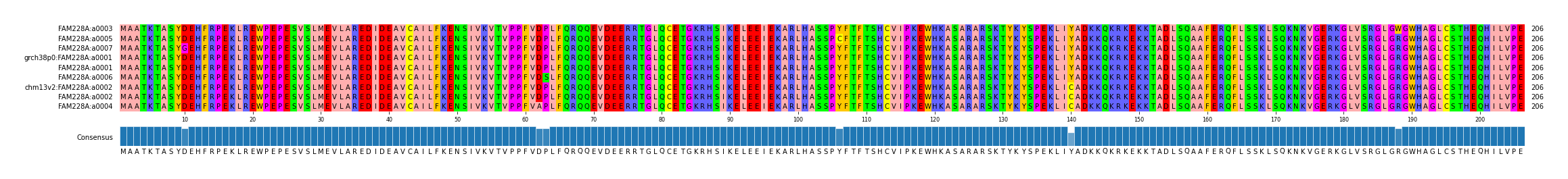 Multiple Alignments (by translate haplotype similarity)