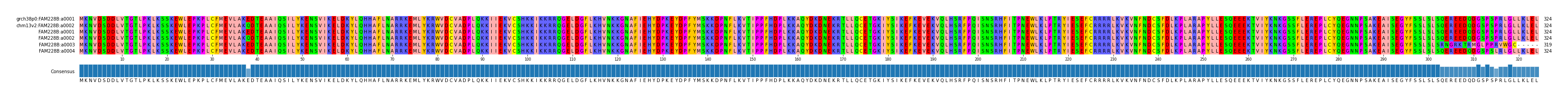 Multiple Alignments (by translate haplotype frequency)