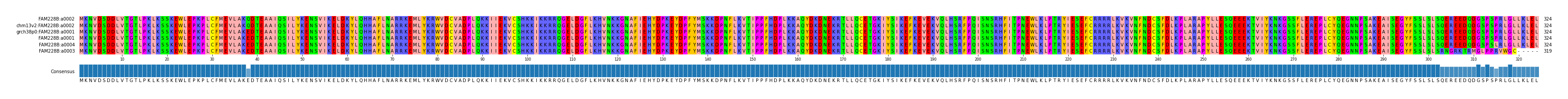 Multiple Alignments (by translate haplotype similarity)