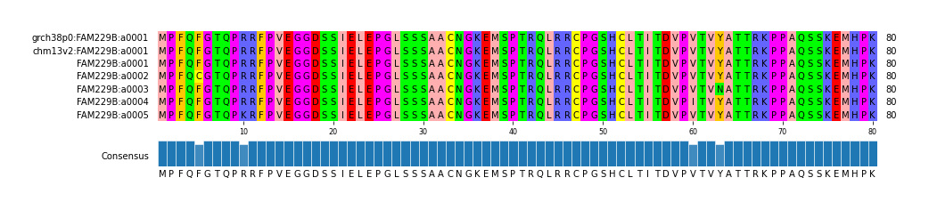 Multiple Alignments (by translate haplotype frequency)