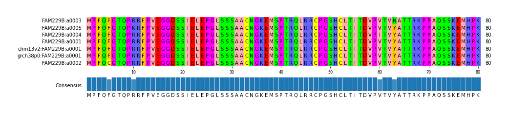Multiple Alignments (by translate haplotype similarity)