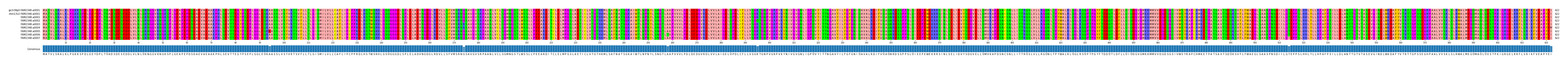 Multiple Alignments (by translate haplotype frequency)