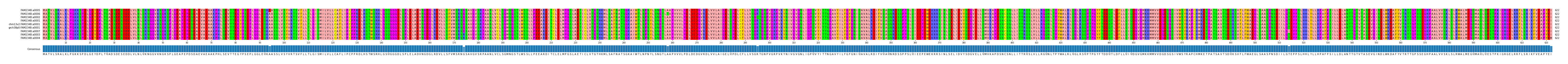 Multiple Alignments (by translate haplotype similarity)