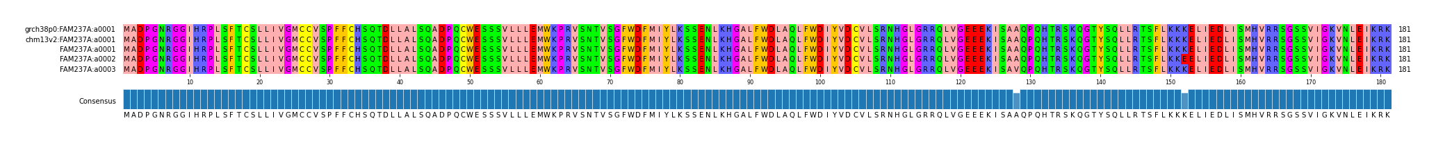 Multiple Alignments (by translate haplotype frequency)