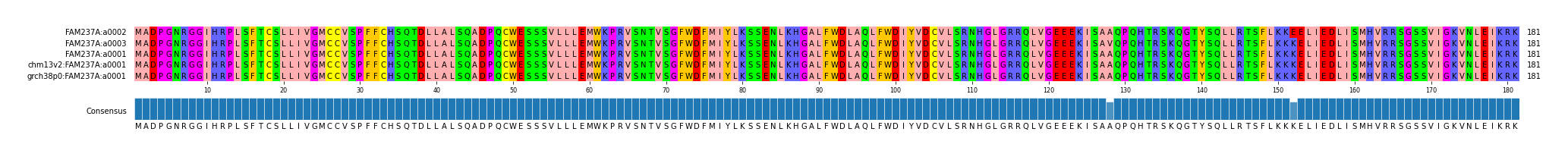 Multiple Alignments (by translate haplotype similarity)