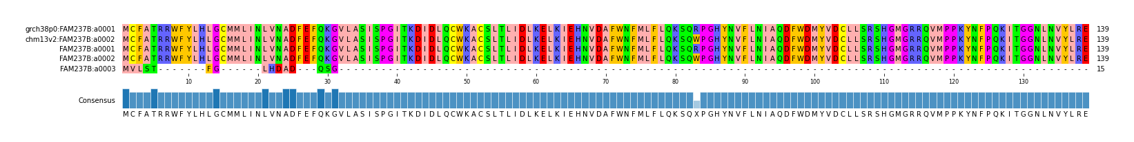 Multiple Alignments (by translate haplotype frequency)