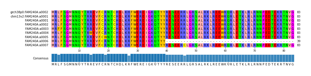 Multiple Alignments (by translate haplotype frequency)