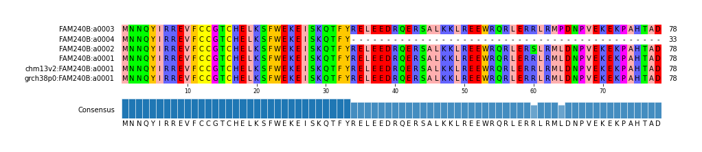 Multiple Alignments (by translate haplotype similarity)