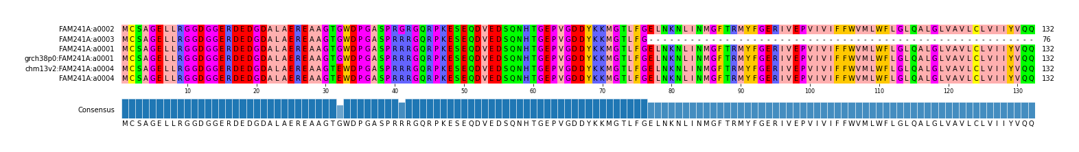 Multiple Alignments (by translate haplotype similarity)