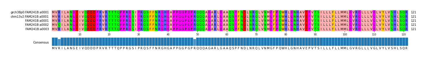 Multiple Alignments (by translate haplotype frequency)