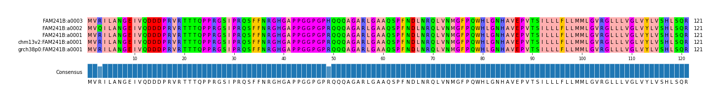 Multiple Alignments (by translate haplotype similarity)