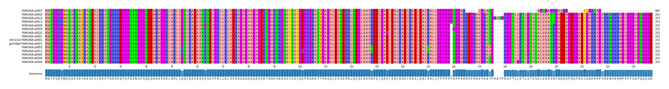 Multiple Alignments (by translate haplotype similarity)