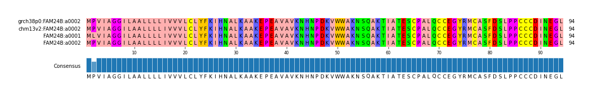 Multiple Alignments (by translate haplotype frequency)