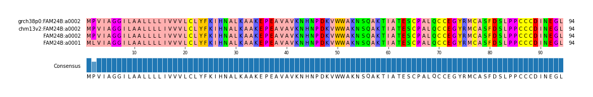 Multiple Alignments (by translate haplotype similarity)