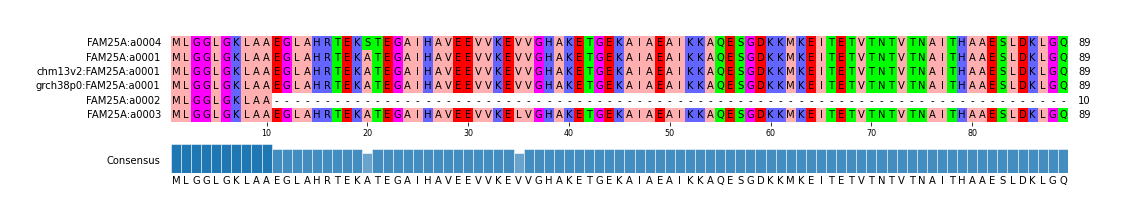 Multiple Alignments (by translate haplotype similarity)