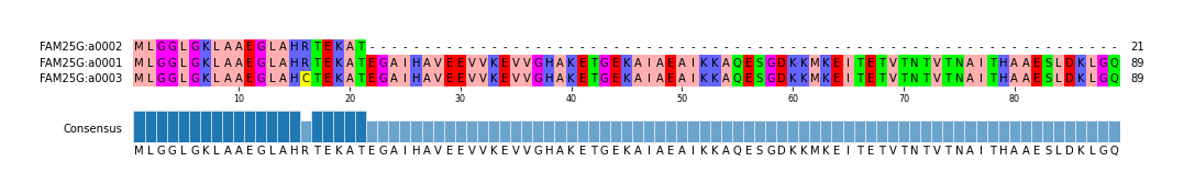 Multiple Alignments (by translate haplotype similarity)