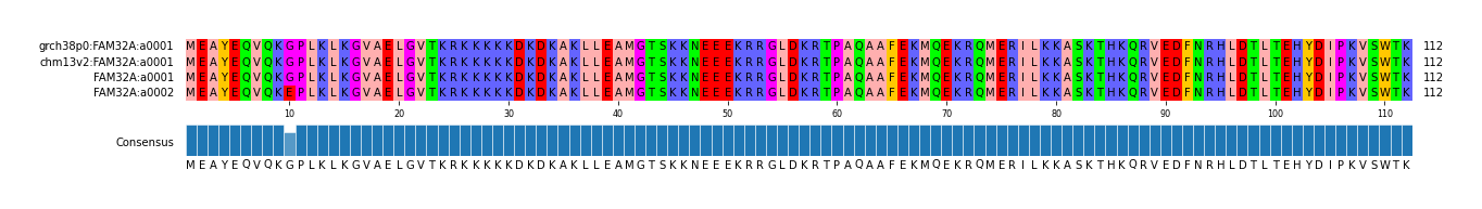 Multiple Alignments (by translate haplotype similarity)