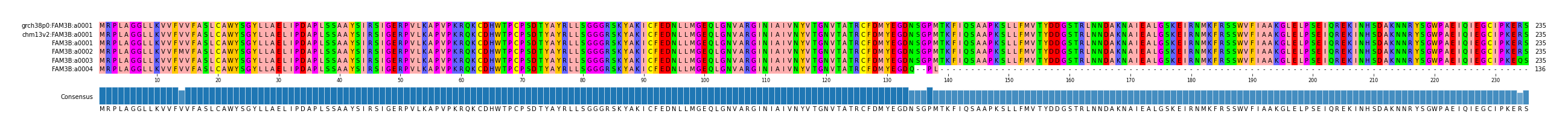 Multiple Alignments (by translate haplotype frequency)