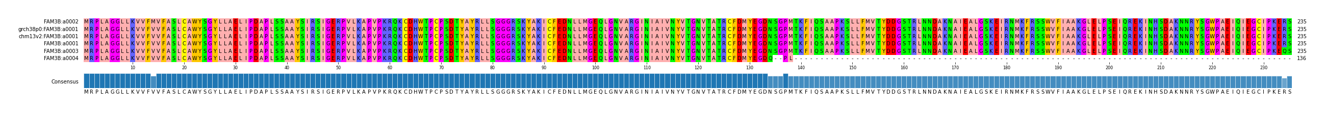 Multiple Alignments (by translate haplotype similarity)