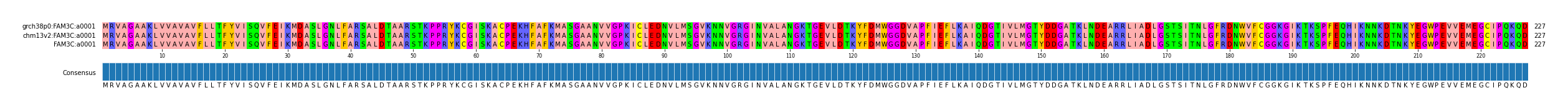 Multiple Alignments (by translate haplotype similarity)