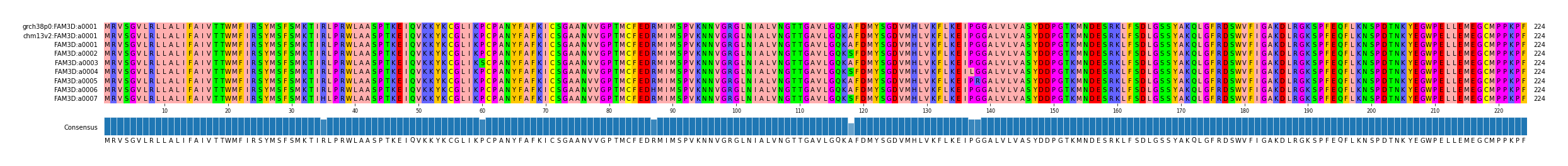 Multiple Alignments (by translate haplotype frequency)