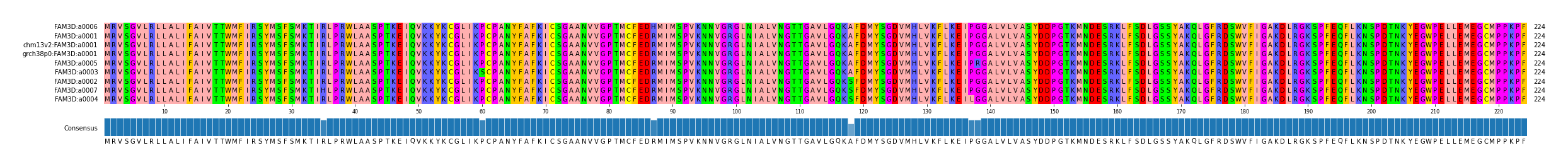 Multiple Alignments (by translate haplotype similarity)