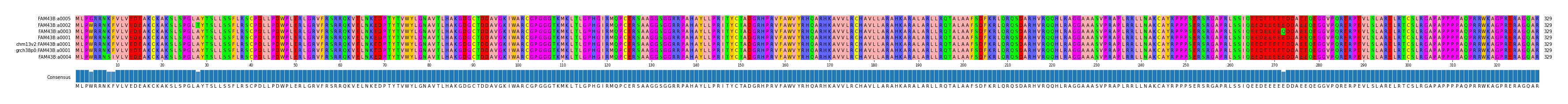Multiple Alignments (by translate haplotype similarity)
