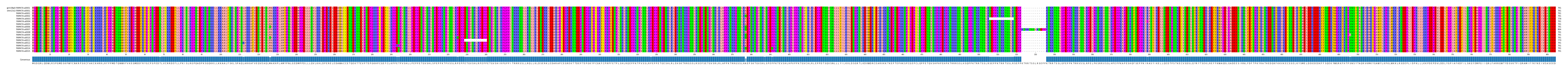 Multiple Alignments (by translate haplotype frequency)