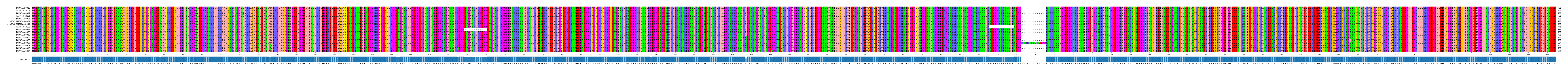 Multiple Alignments (by translate haplotype similarity)