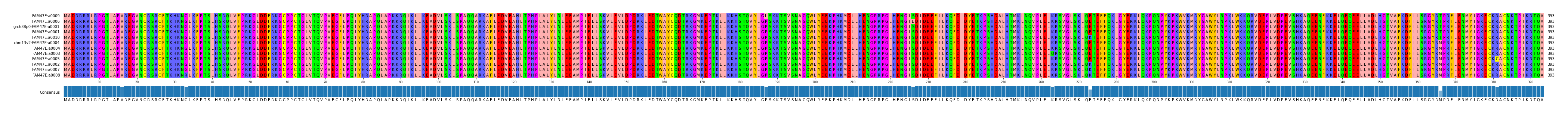 Multiple Alignments (by translate haplotype similarity)