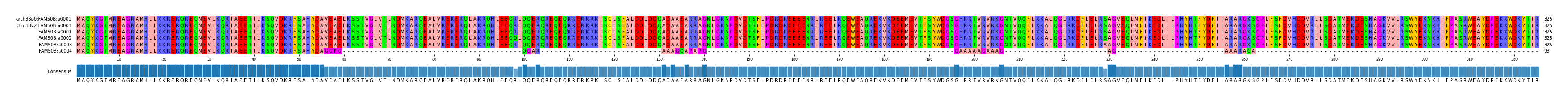 Multiple Alignments (by translate haplotype frequency)