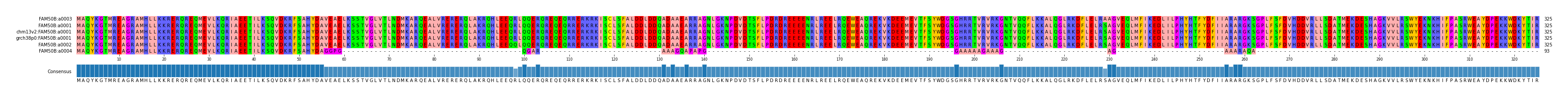Multiple Alignments (by translate haplotype similarity)