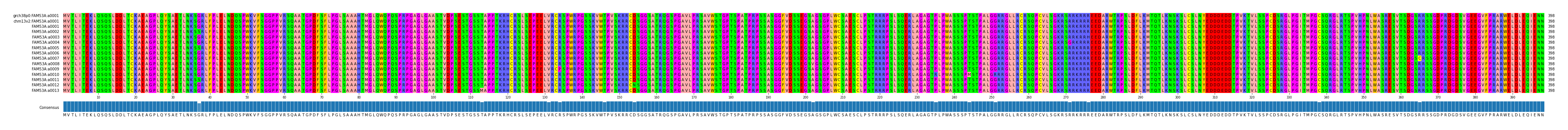 Multiple Alignments (by translate haplotype frequency)