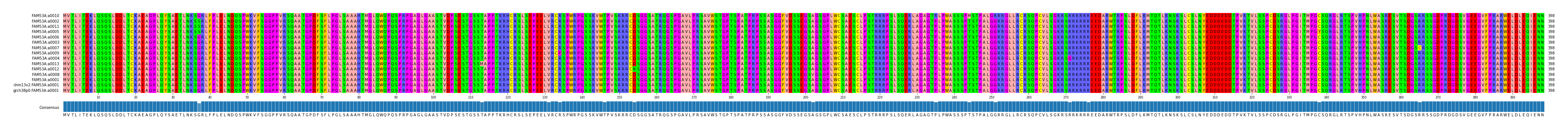 Multiple Alignments (by translate haplotype similarity)