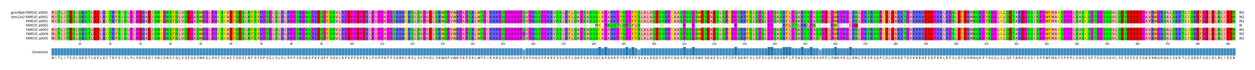 Multiple Alignments (by translate haplotype frequency)